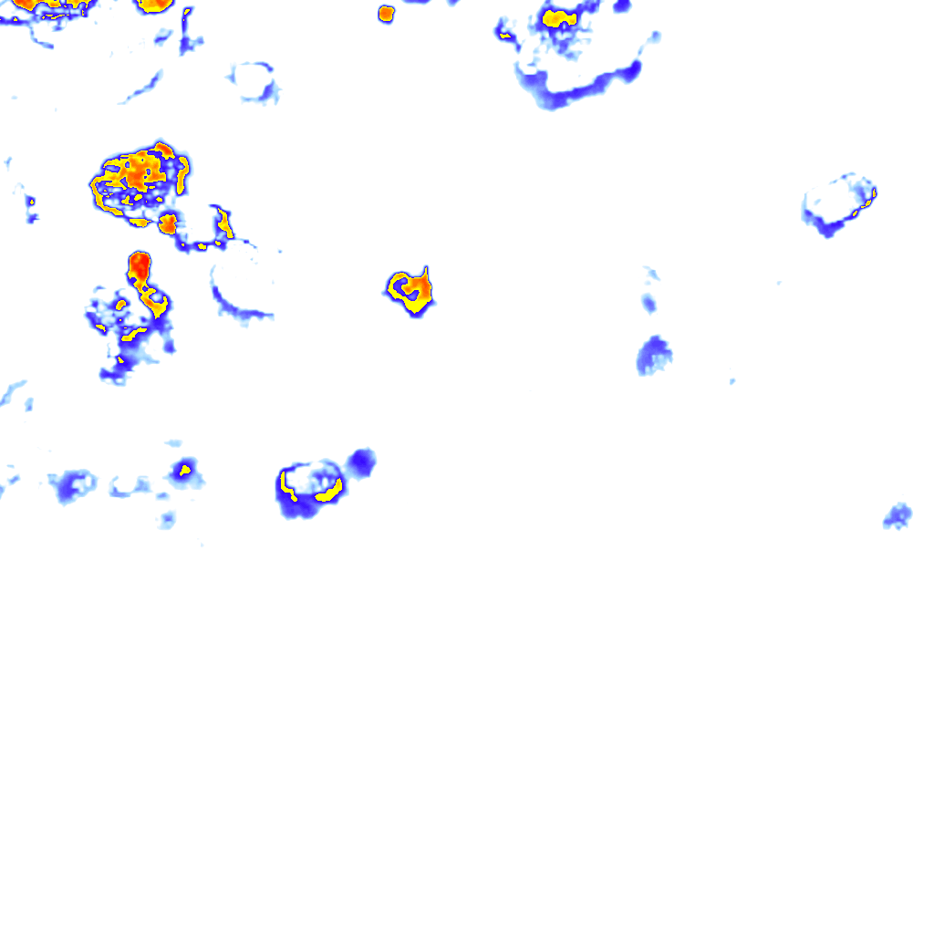 rainLayer