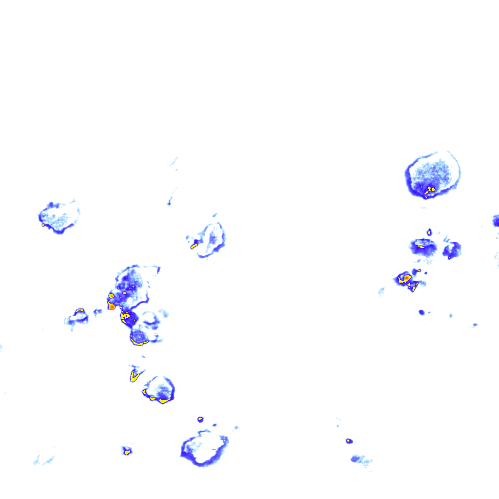 rainLayer