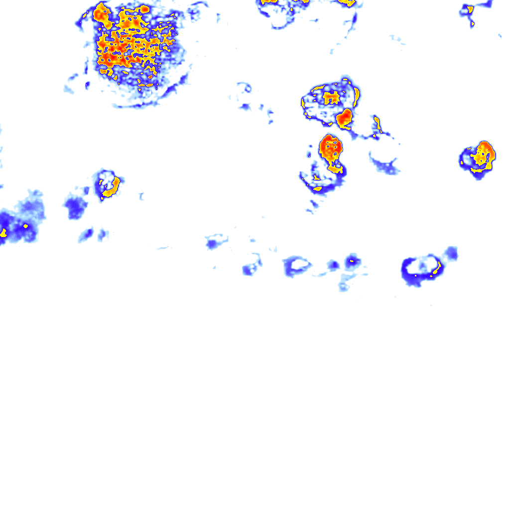 Image Layer