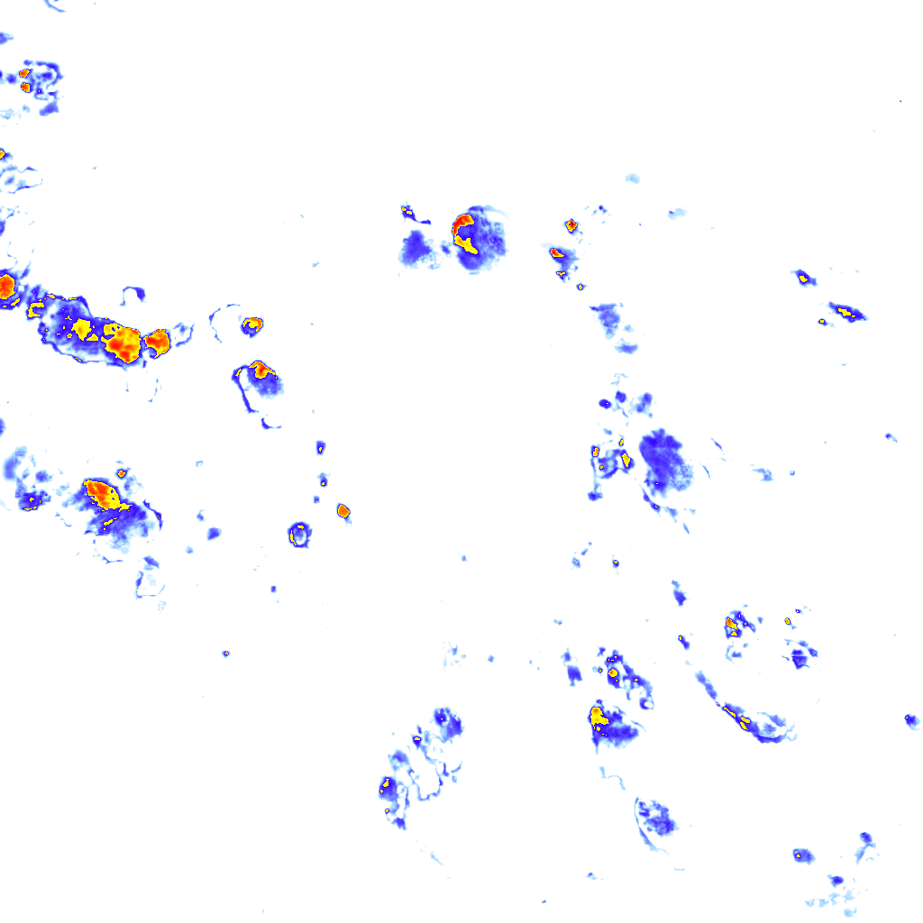 rainLayer