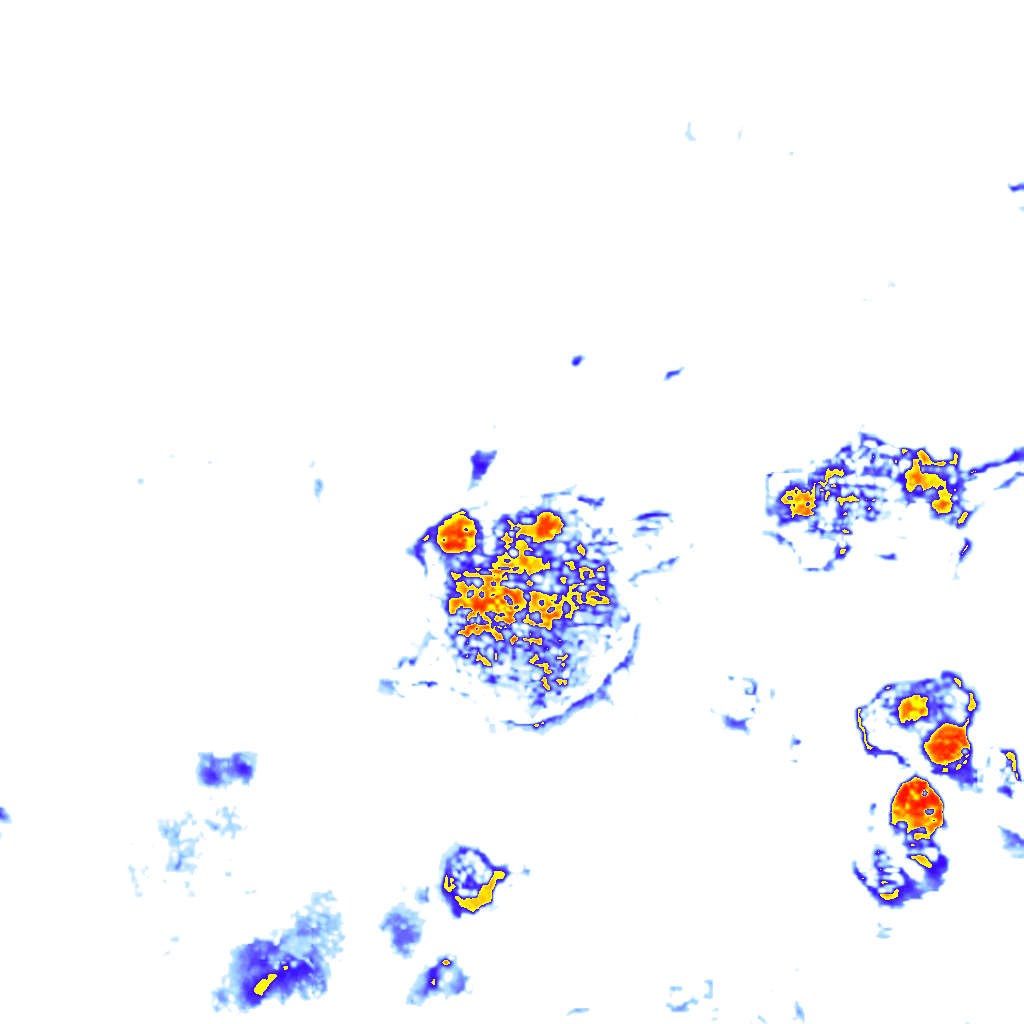 Image Layer