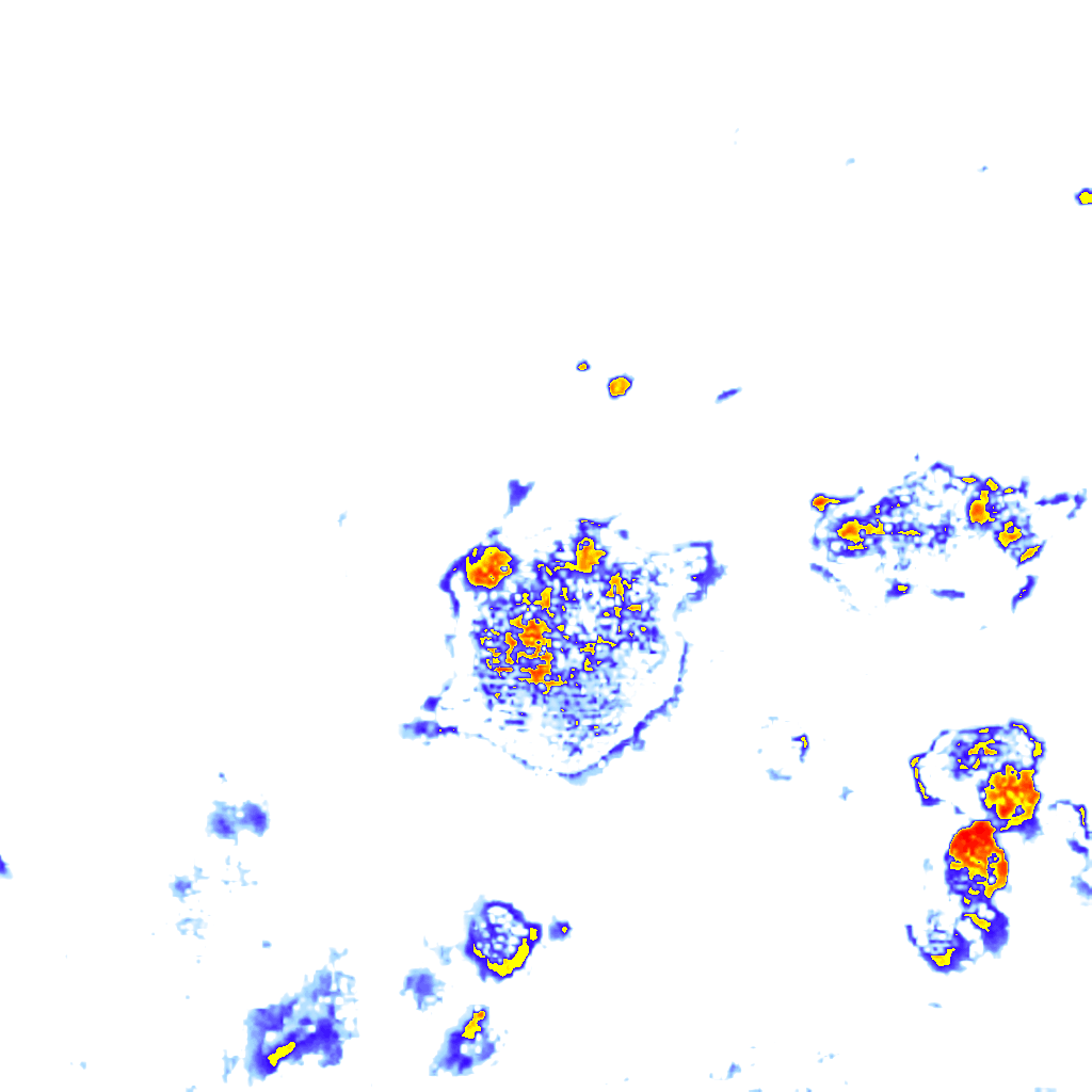 rainLayer