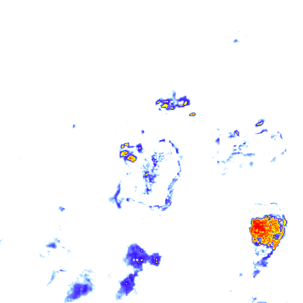 Image Layer