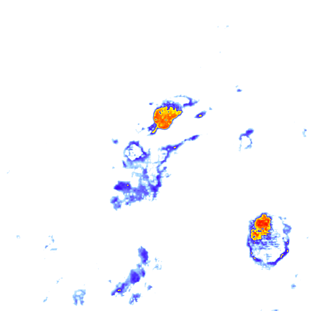 rainLayer