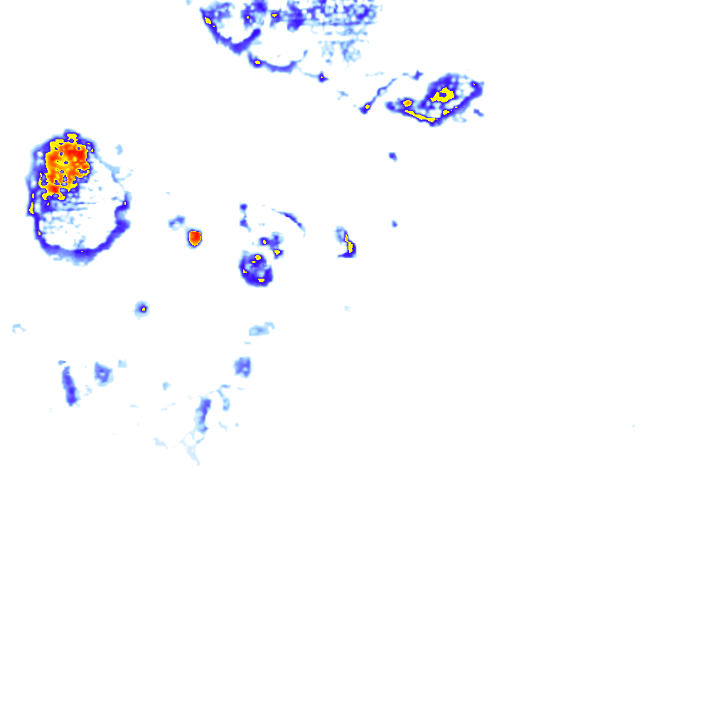 rainLayer