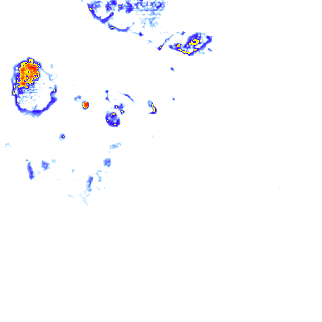 Image Layer