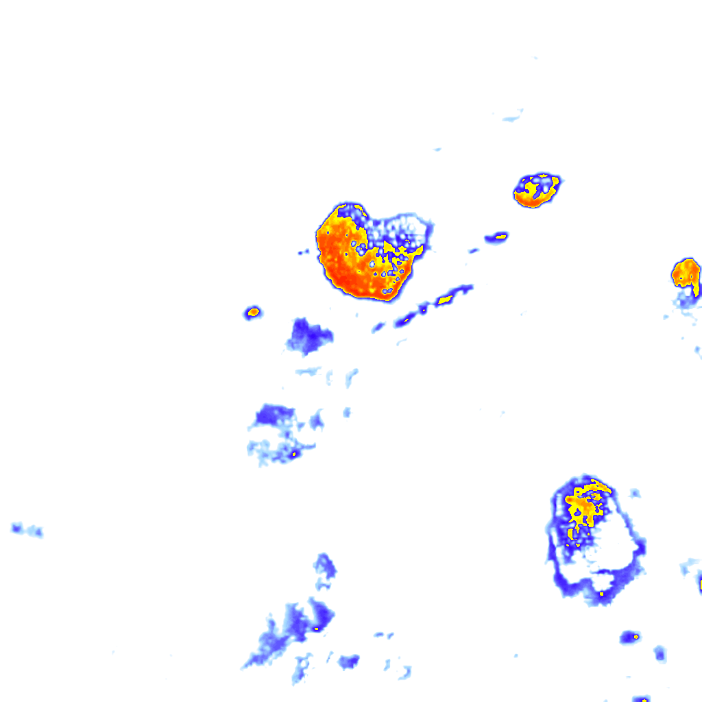 rainLayer