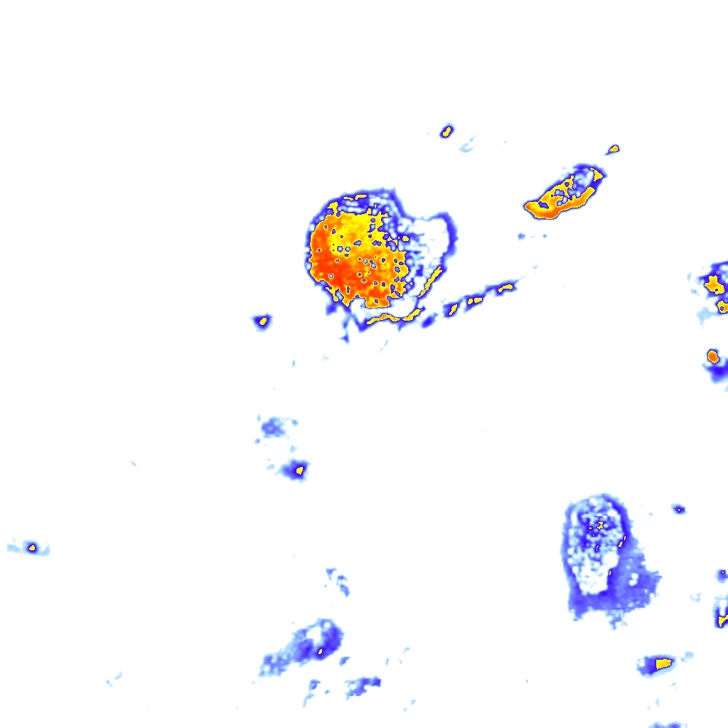 Image Layer