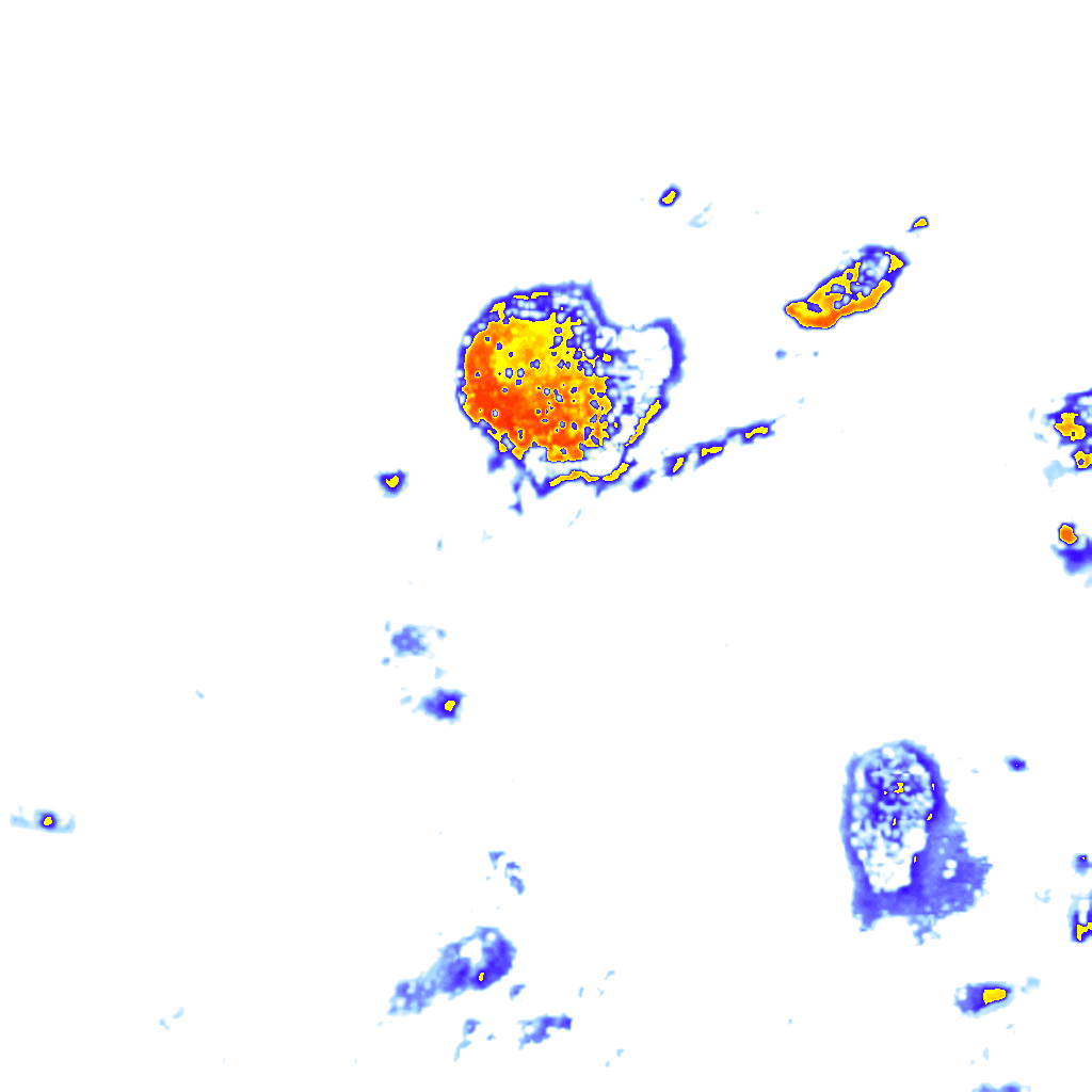 Image Layer