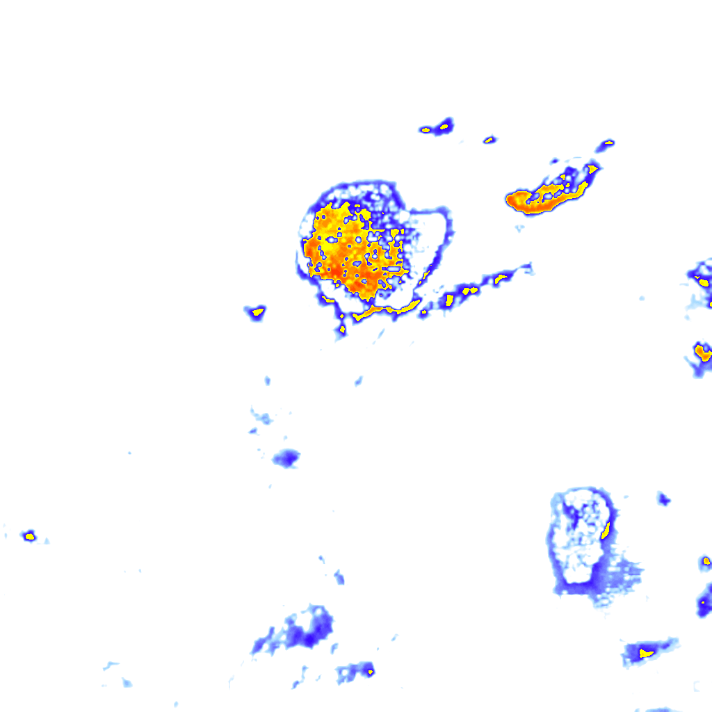 Image Layer