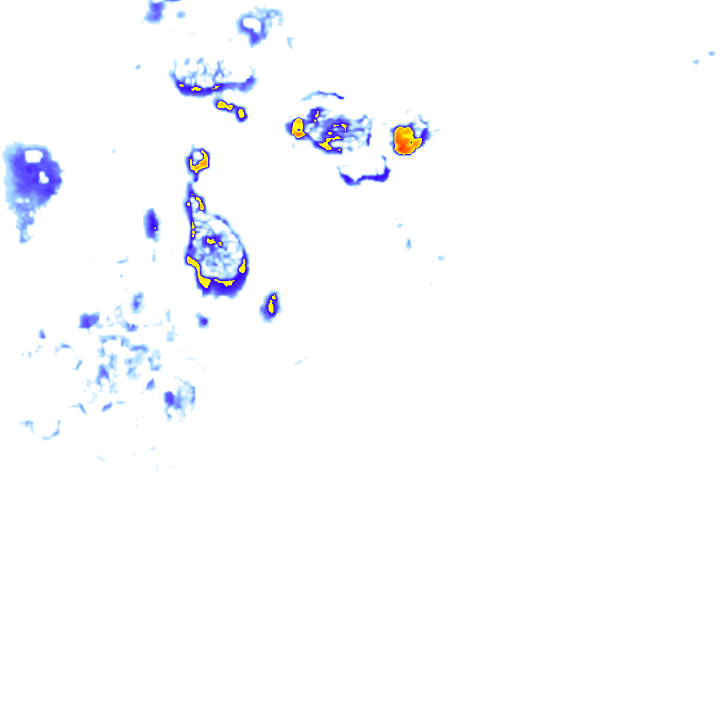 rainLayer
