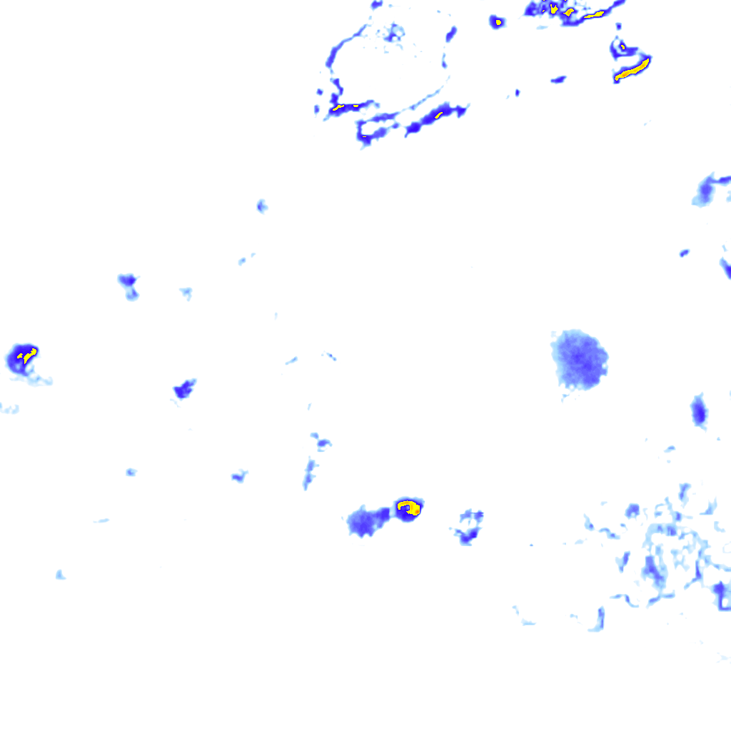 rainLayer