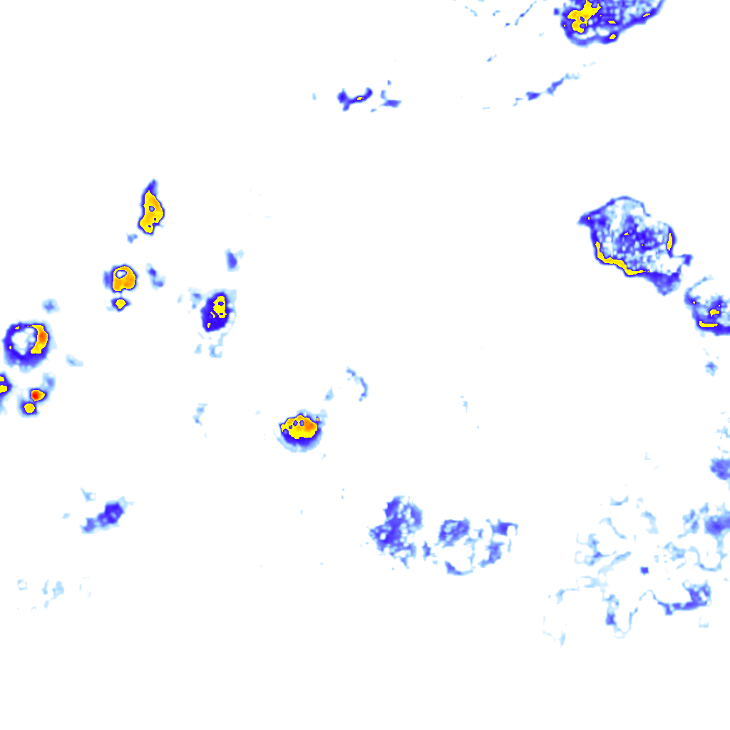 Image Layer