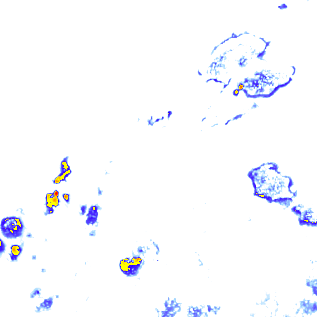 rainLayer