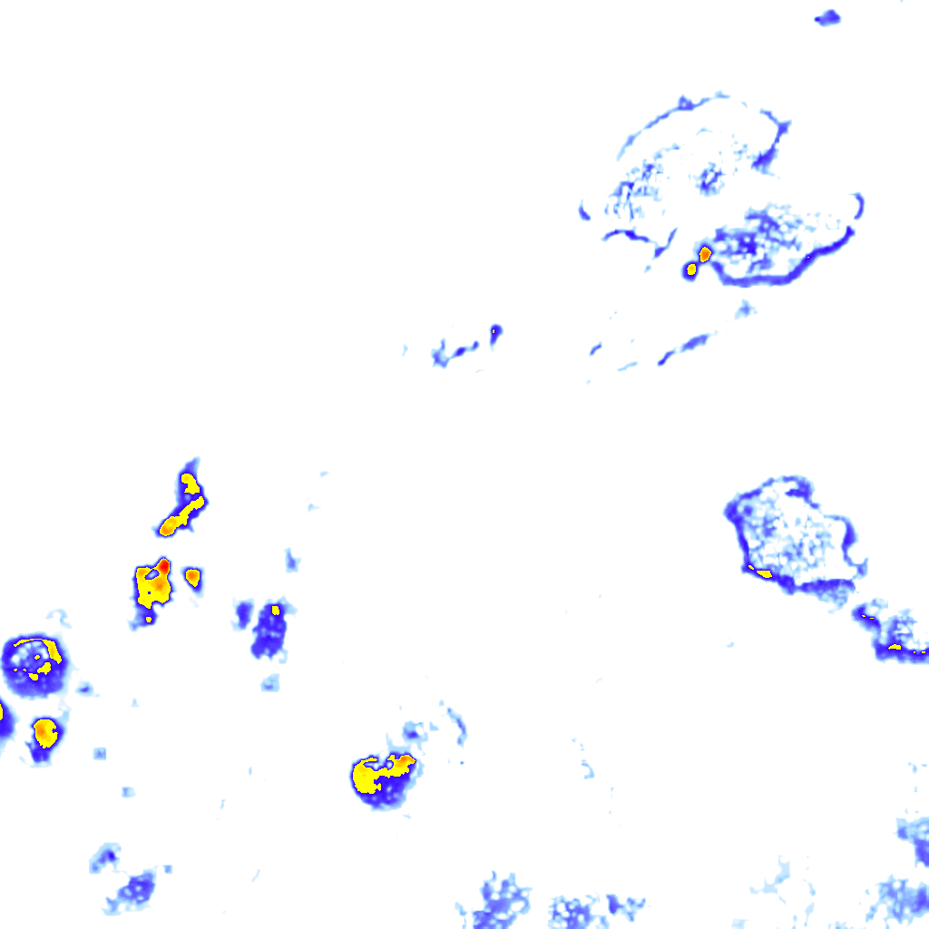 rainLayer