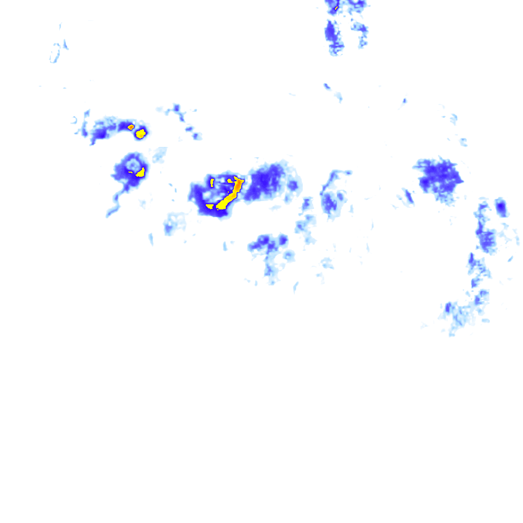 rainLayer