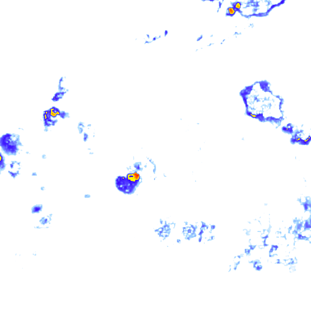 Image Layer