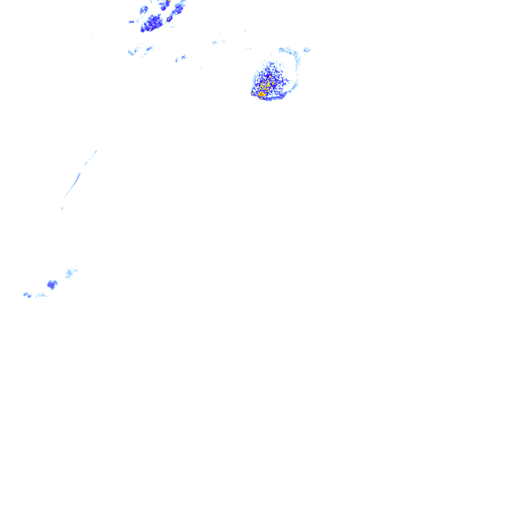 rainLayer