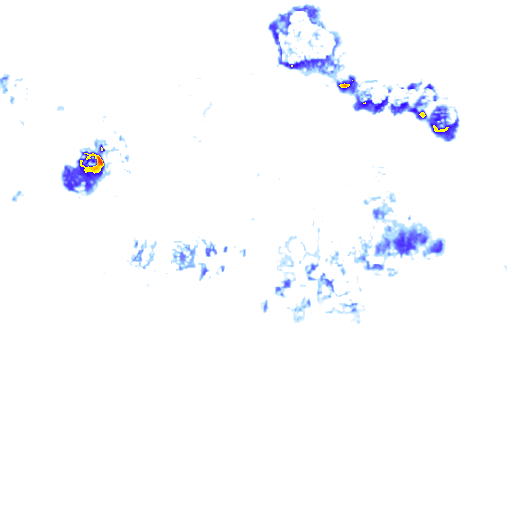Image Layer