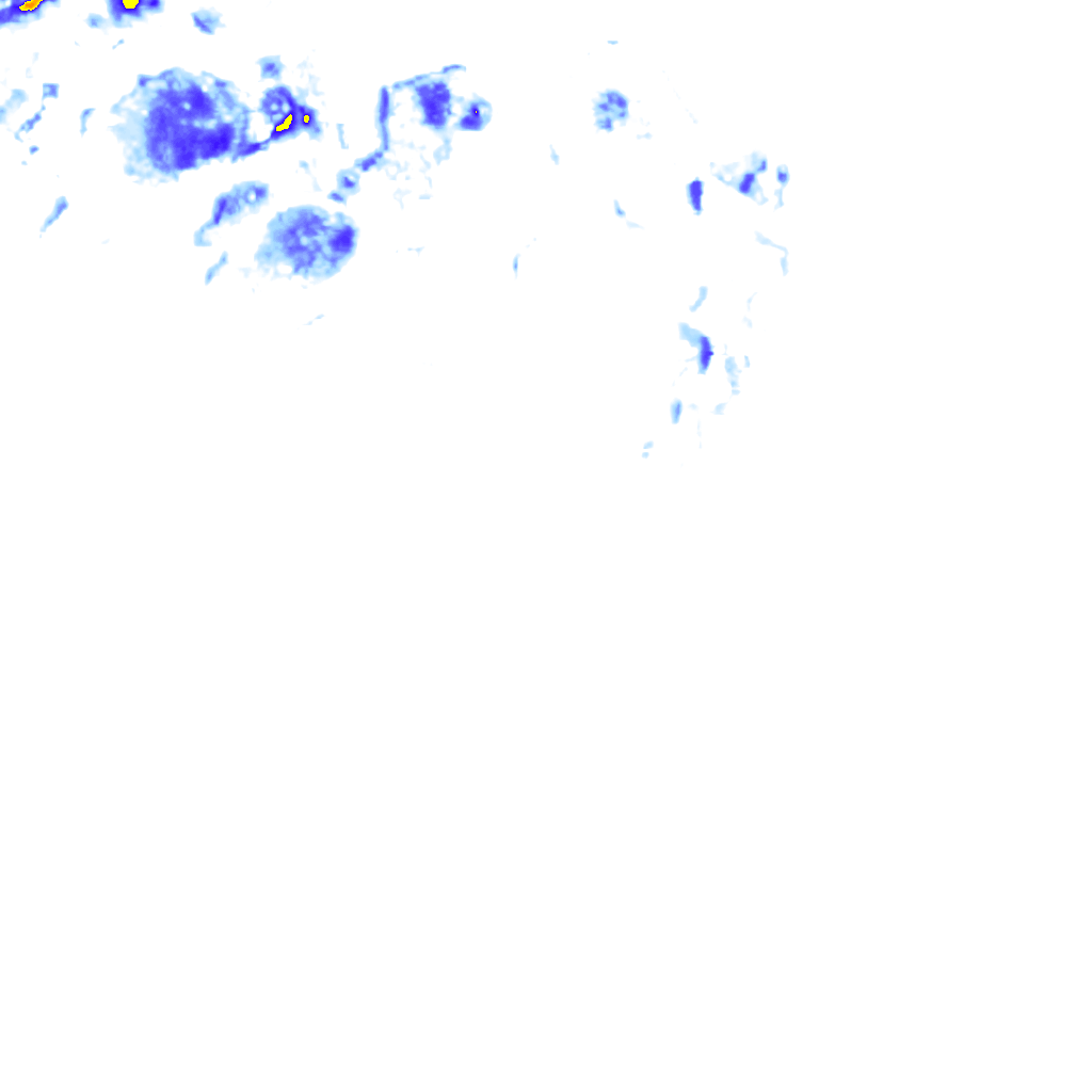 rainLayer