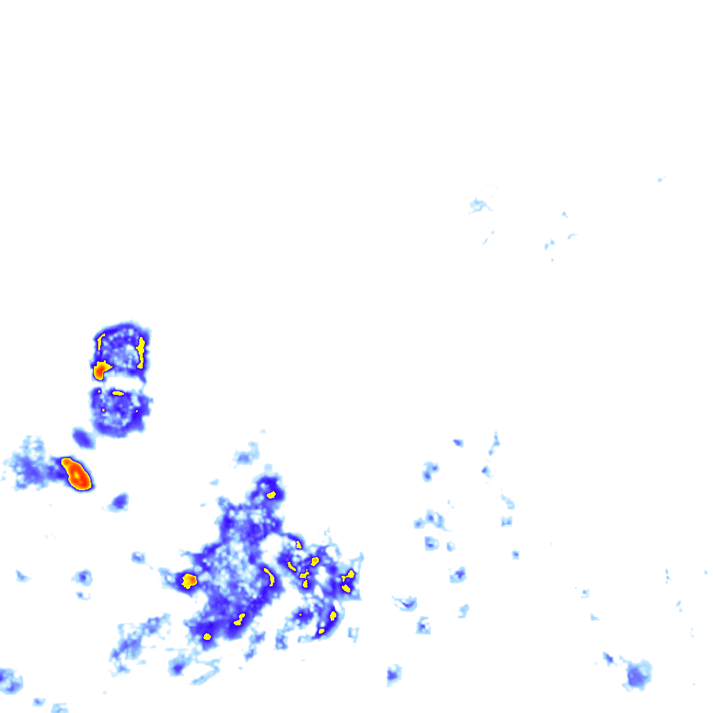 Image Layer
