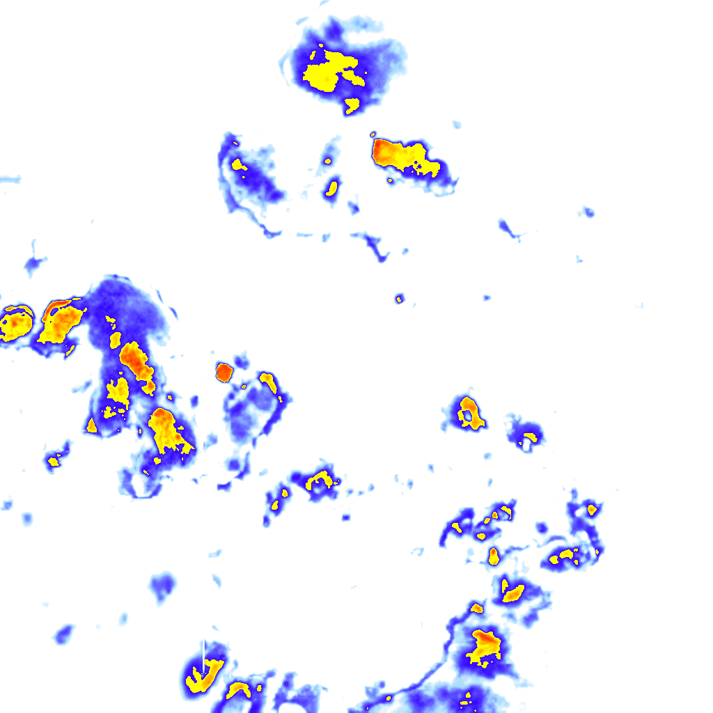 rainLayer