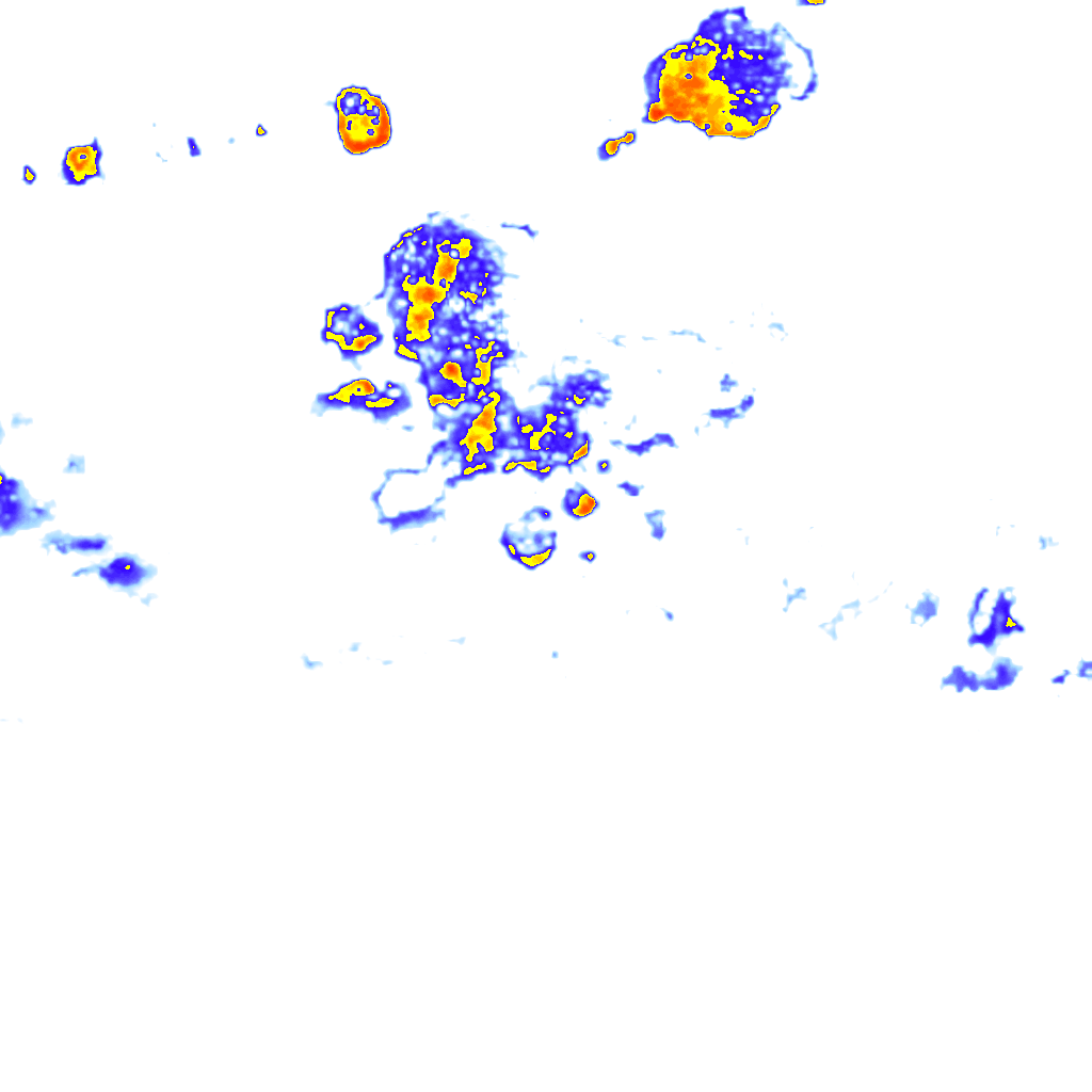 rainLayer