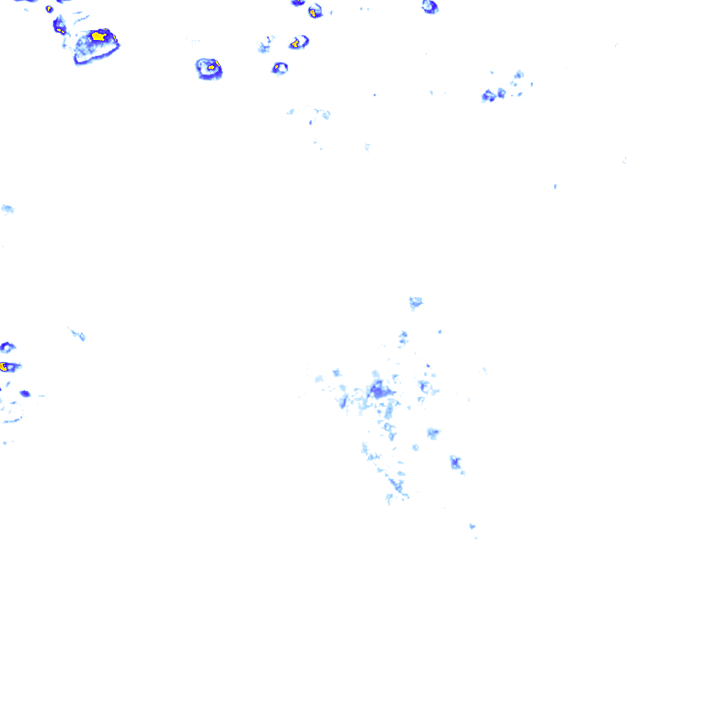 rainLayer