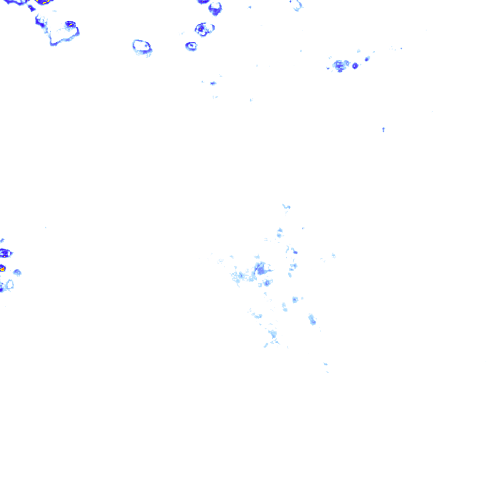 rainLayer