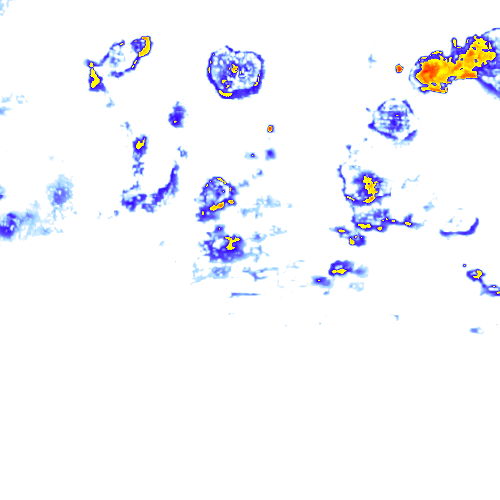 Image Layer