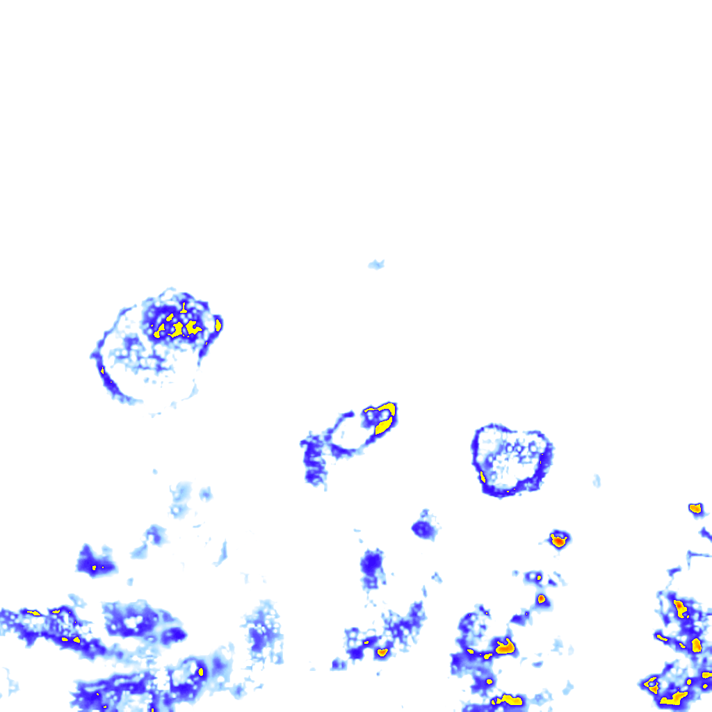 Image Layer