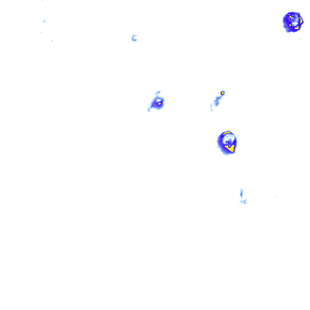 Image Layer