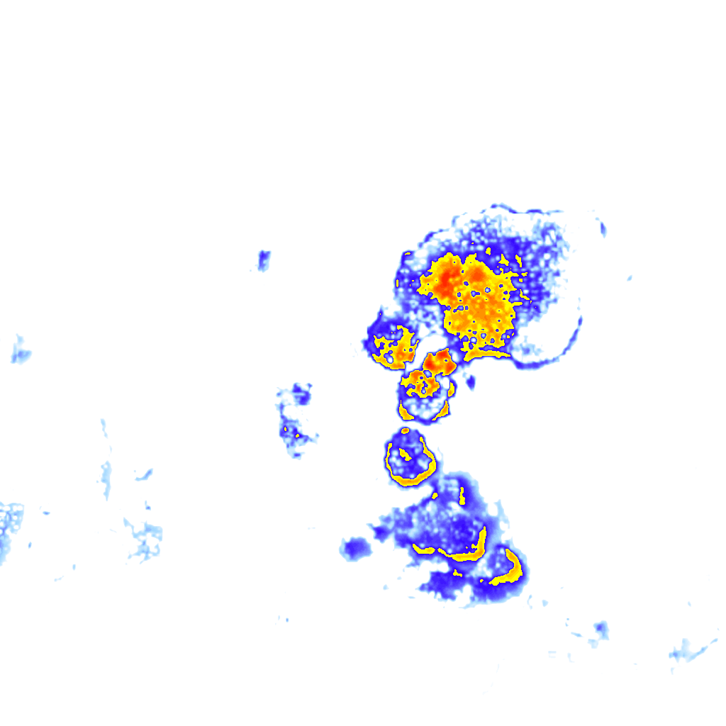 rainLayer