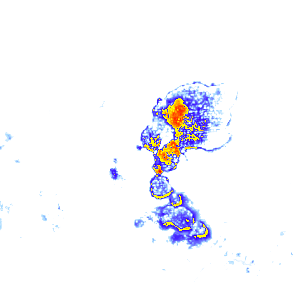rainLayer