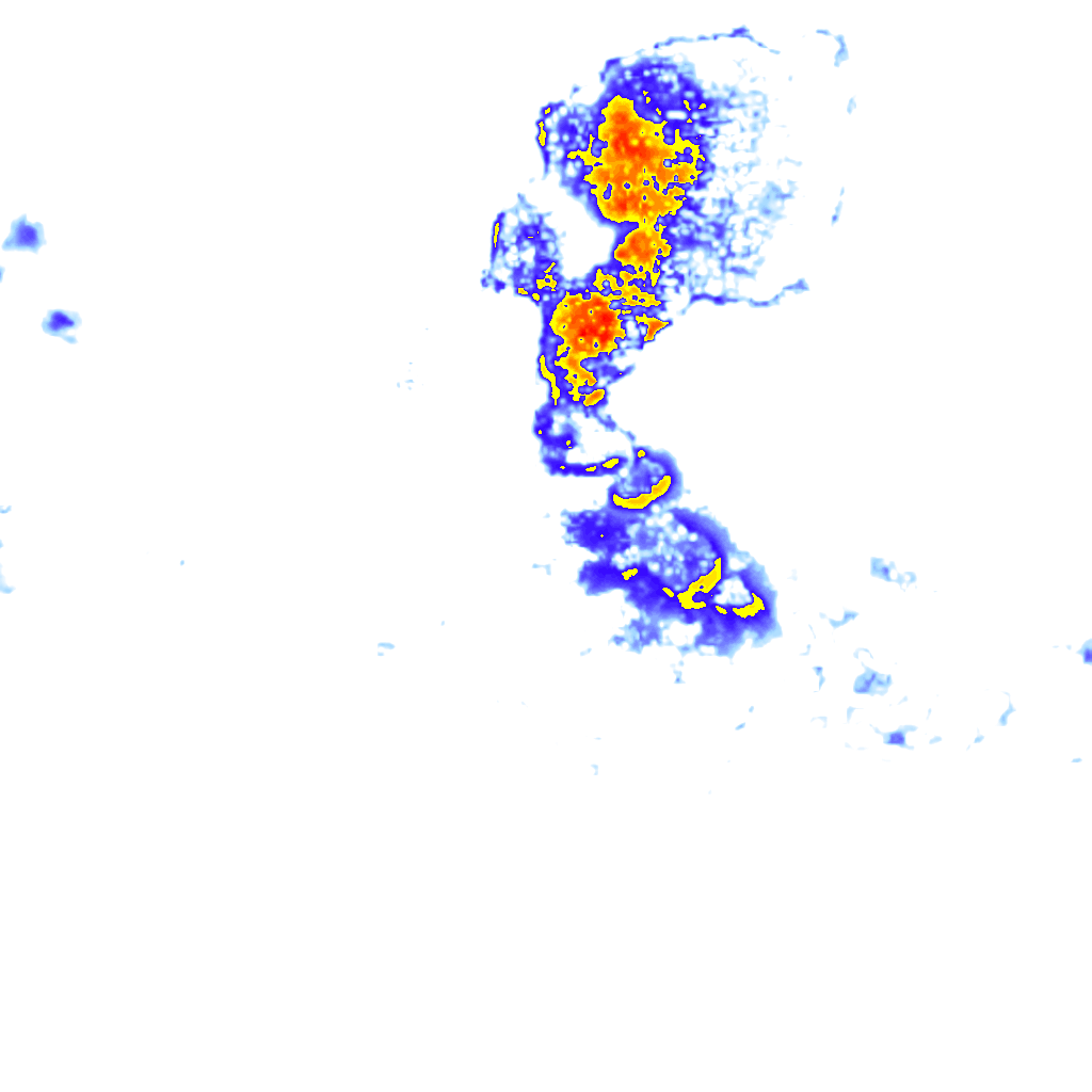 rainLayer