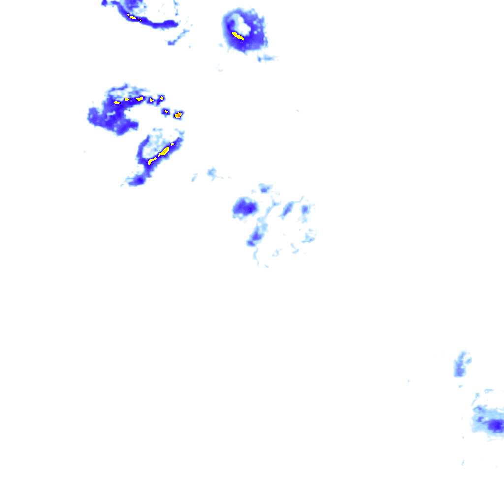 rainLayer