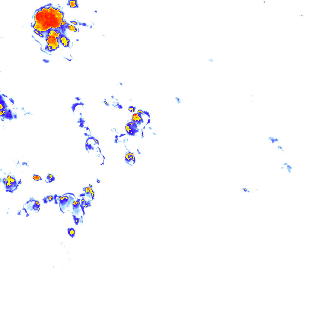 rainLayer