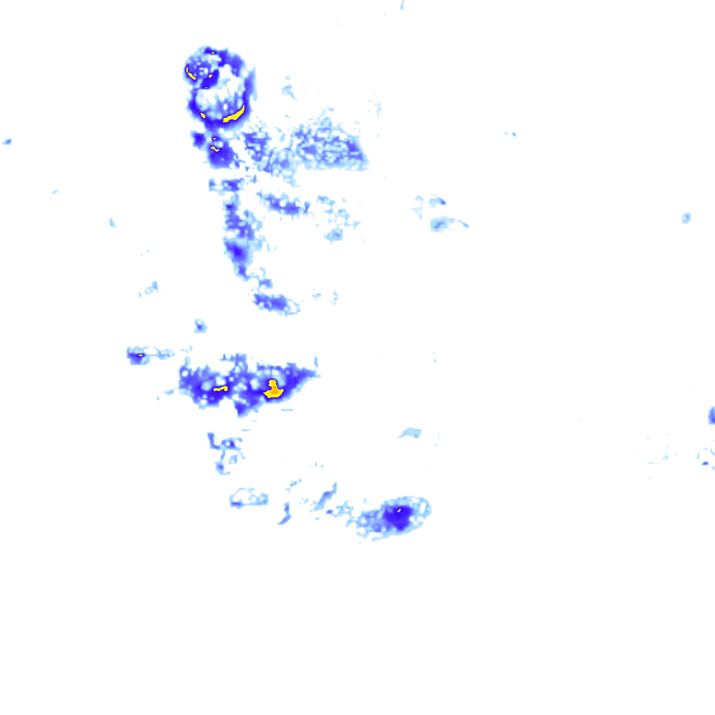 rainLayer
