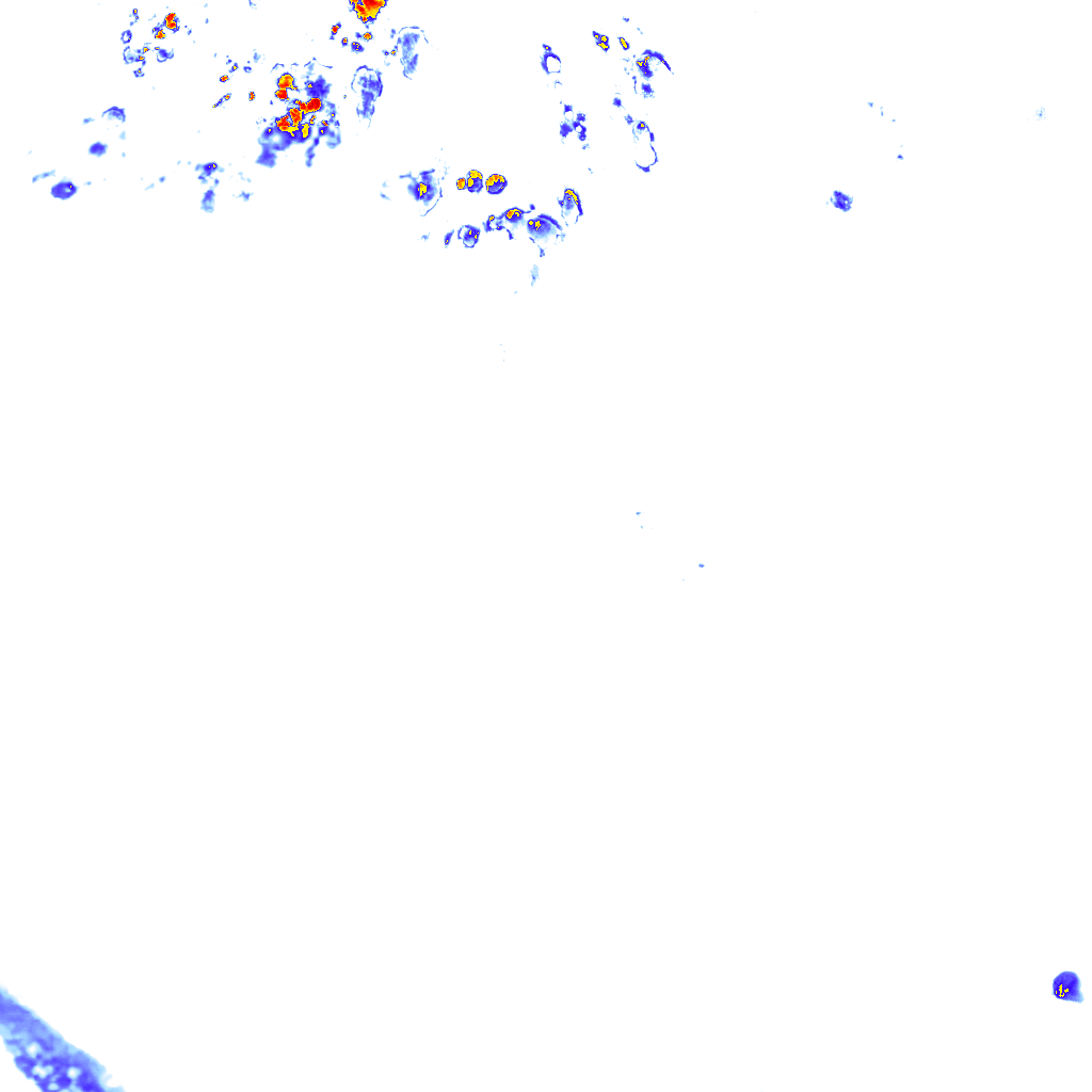 rainLayer