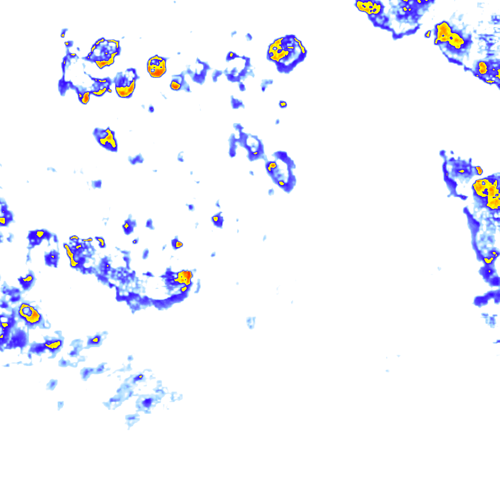 rainLayer
