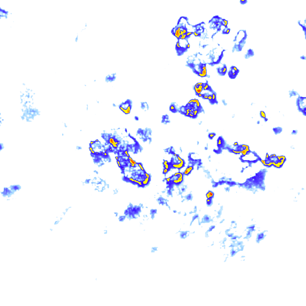 rainLayer