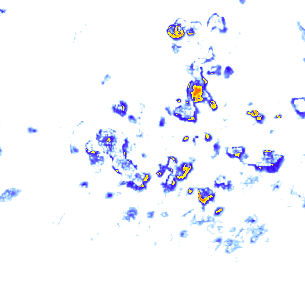 rainLayer