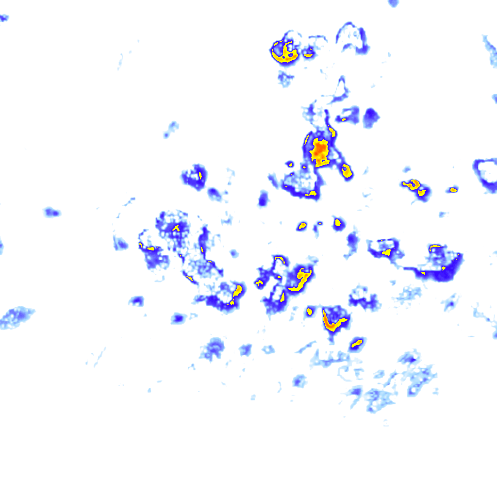 Image Layer