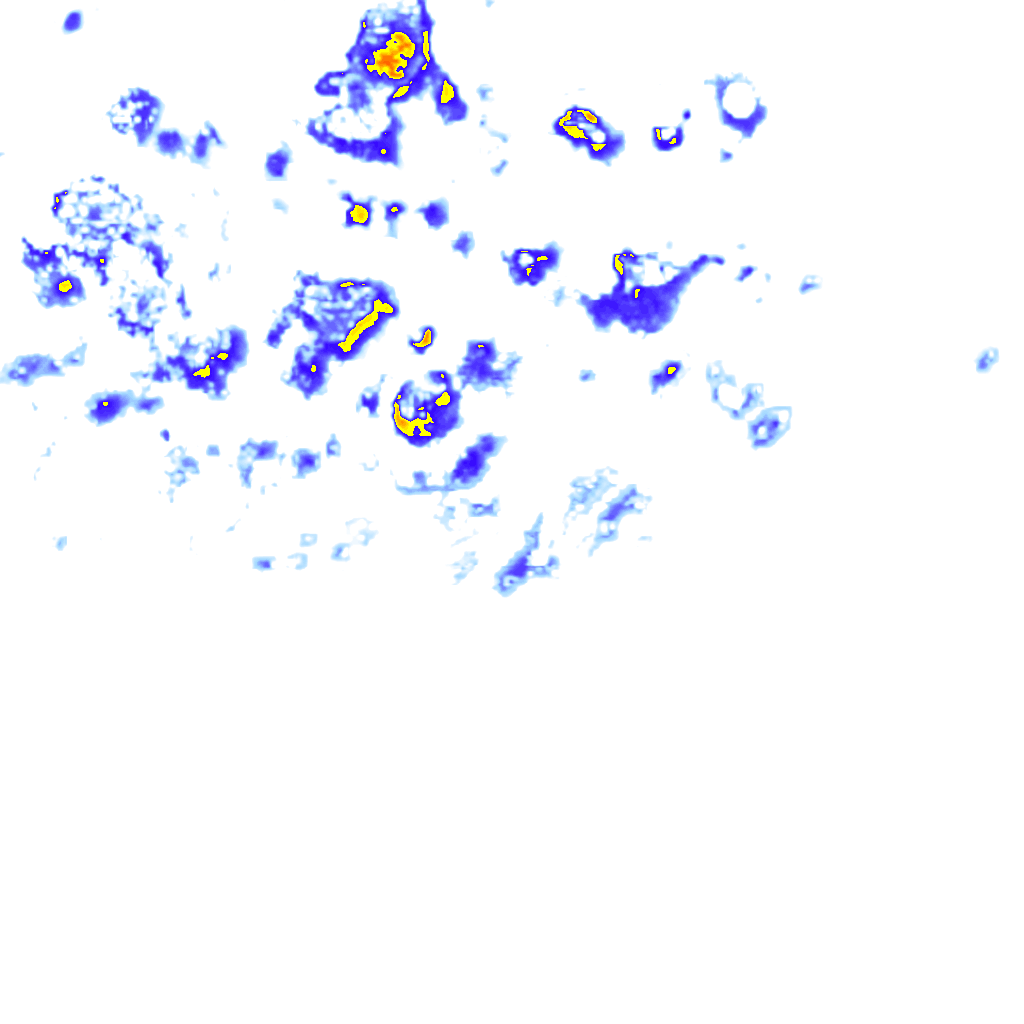Image Layer
