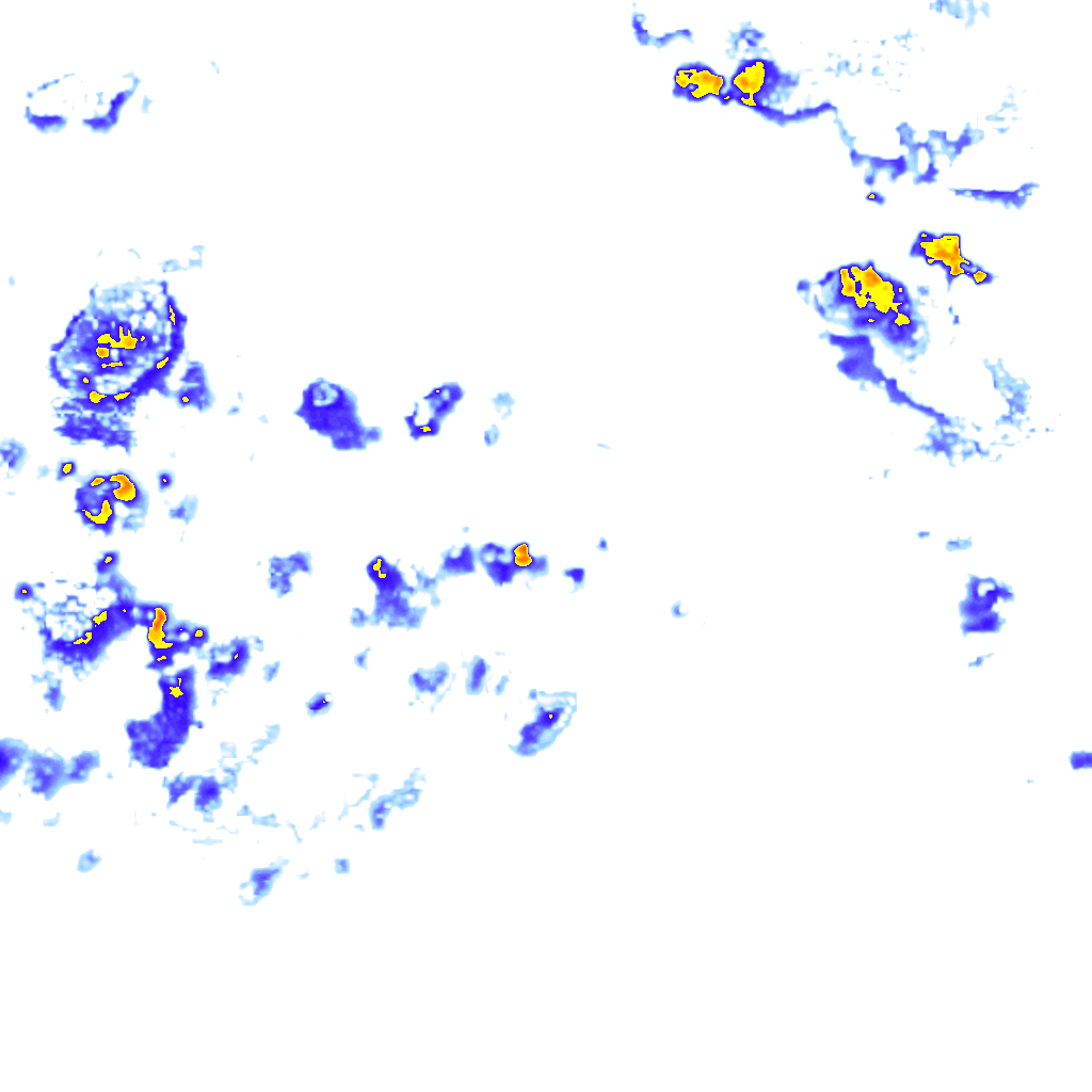 rainLayer