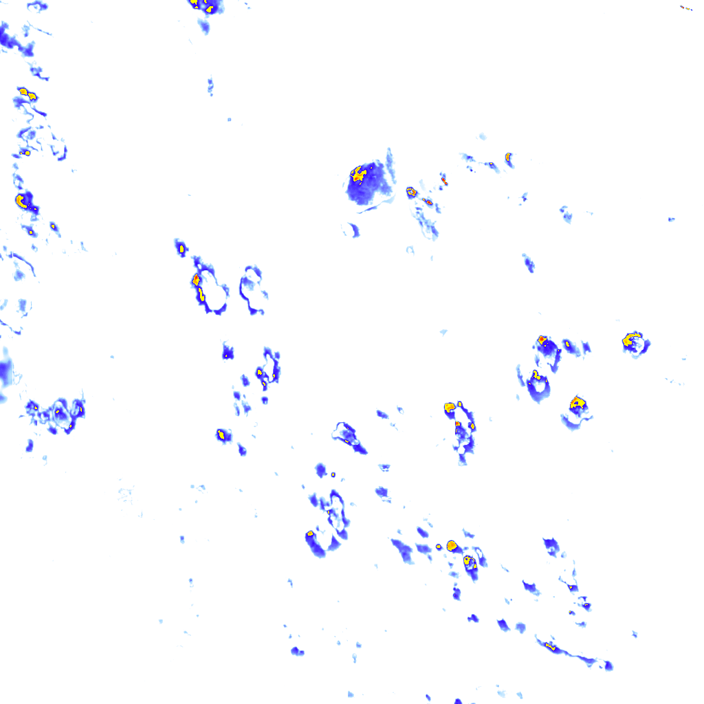 rainLayer