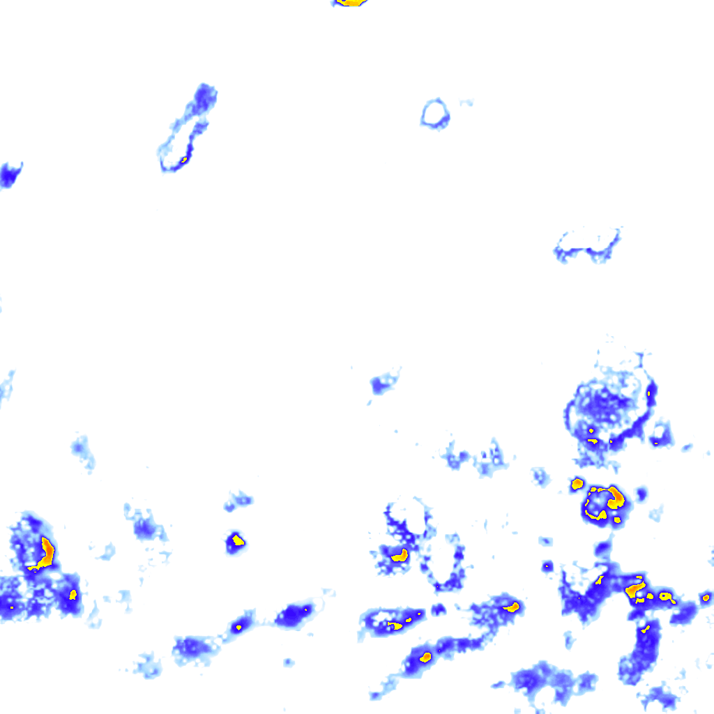 rainLayer