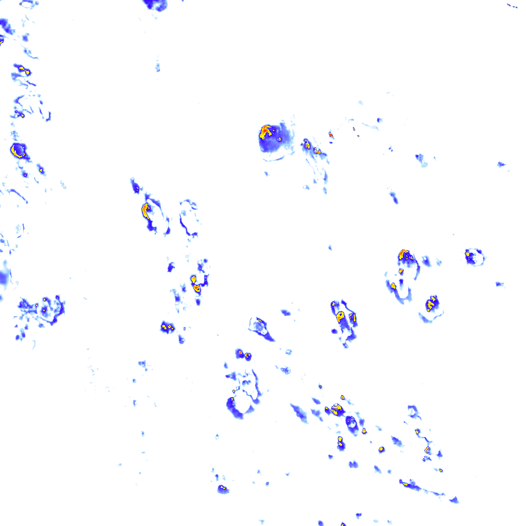 rainLayer
