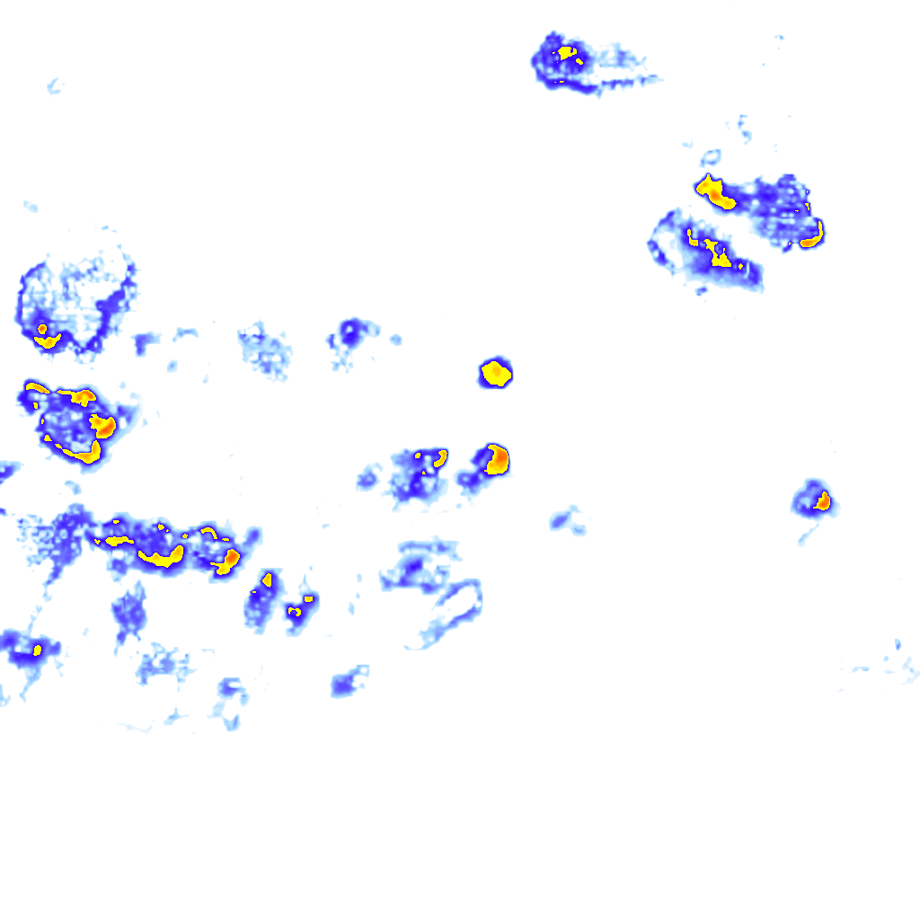 rainLayer