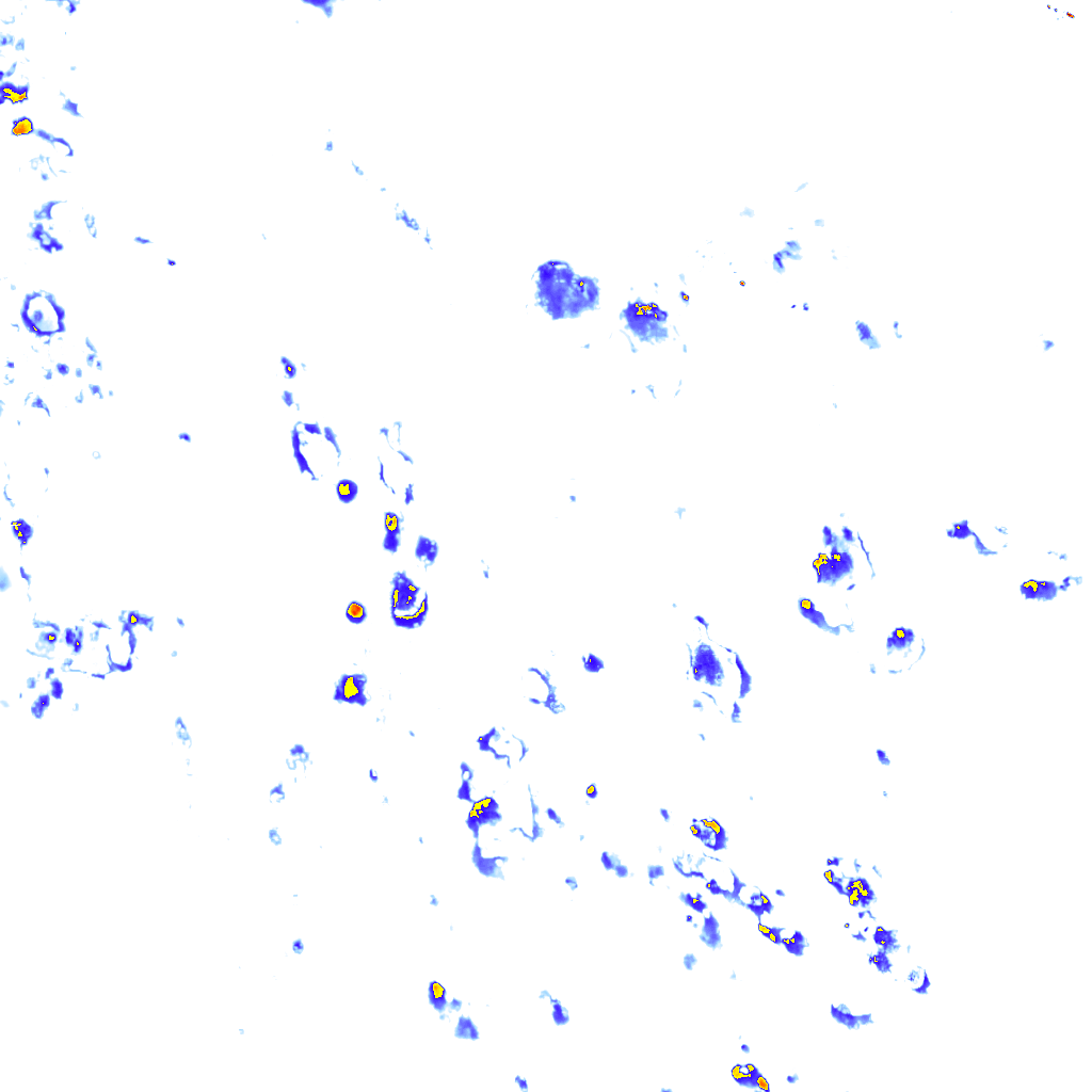 rainLayer